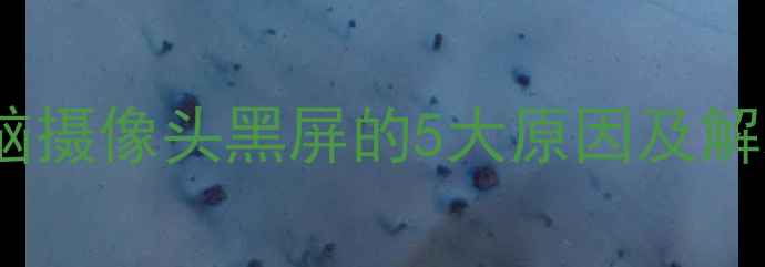 图片 10分钟搞定！笔记本电脑摄像头黑屏的5大原因及解决方法（附图文教程）1