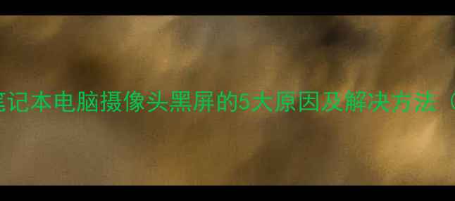 图片 10分钟搞定！笔记本电脑摄像头黑屏的5大原因及解决方法（附图文教程）2