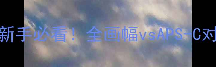 135相机画幅全新手必看全画幅vsAPS-C对比选购避坑指南