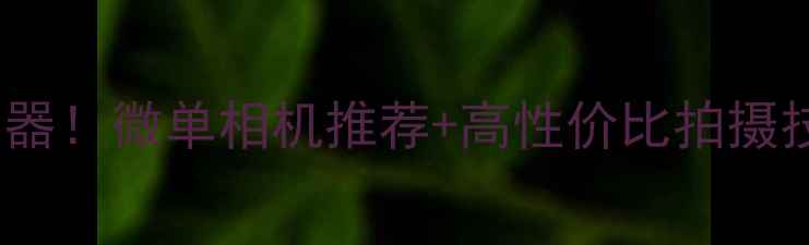 图片 16个镜头的相机是拍照神器！微单相机推荐+高性价比拍摄技巧（附真实体验）📸✨1