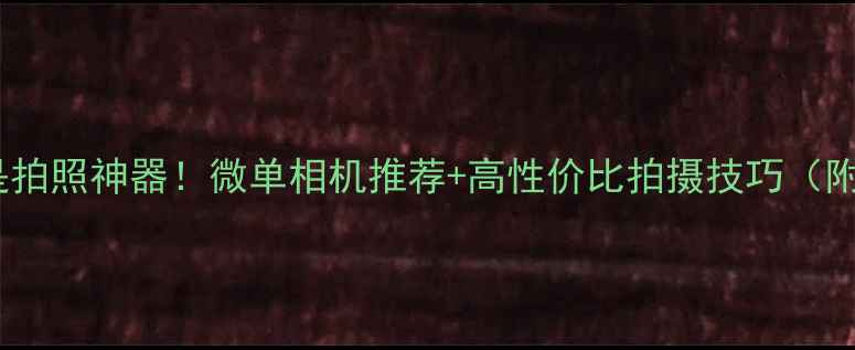图片 16个镜头的相机是拍照神器！微单相机推荐+高性价比拍摄技巧（附真实体验）📸✨2