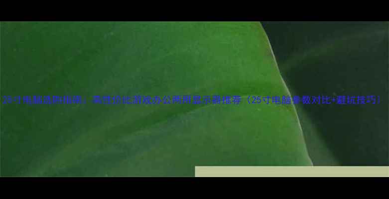 图片 25寸电脑选购指南：高性价比游戏办公两用显示器推荐（25寸电脑参数对比+避坑技巧）