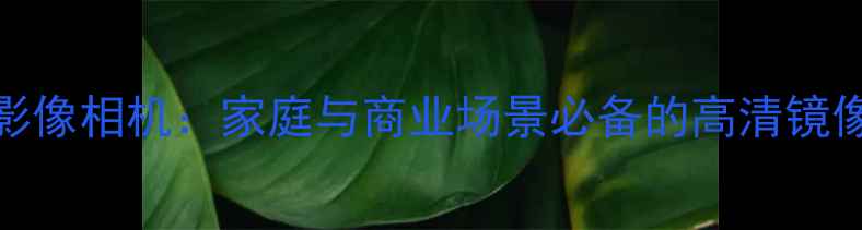 图片 360°智能全景影像相机：家庭与商业场景必备的高清镜像拍摄解决方案2