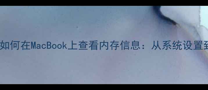 图片 3种方法教你如何在MacBook上查看内存信息：从系统设置到终端命令全