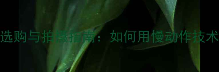 图片 4K120帧升格相机选购与拍摄指南：如何用慢动作技术打造电影级视频1