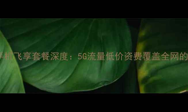 图片 5G时代必看手机飞享套餐深度：5G流量低价资费覆盖全网的性价比之王1