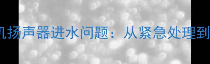 图片 5步彻底解决手机扬声器进水问题：从紧急处理到专业维修全攻略