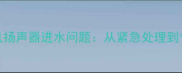 图片 5步彻底解决手机扬声器进水问题：从紧急处理到专业维修全攻略1