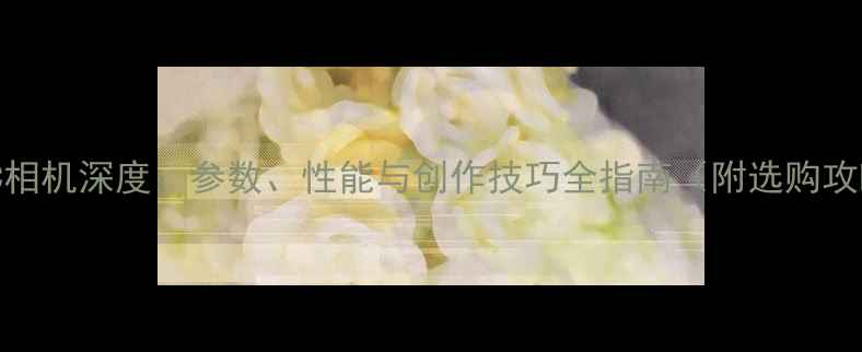 图片 BMCC相机深度：参数、性能与创作技巧全指南（附选购攻略）