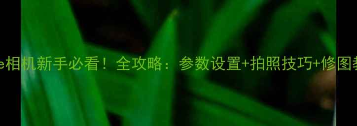 图片 Cutie相机新手必看！全攻略：参数设置+拍照技巧+修图教程1