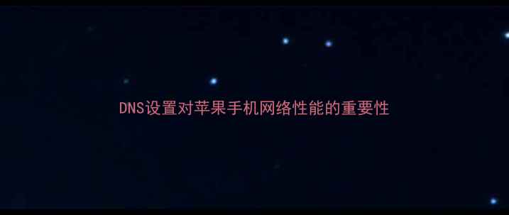 图片 DNS设置对苹果手机网络性能的重要性