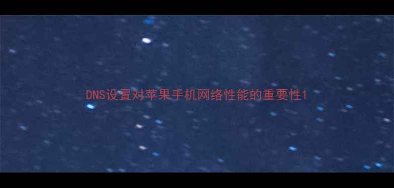 图片 DNS设置对苹果手机网络性能的重要性1