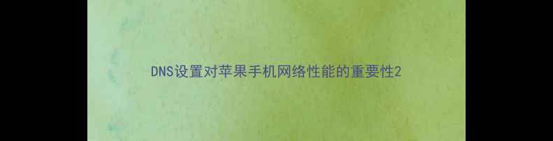 图片 DNS设置对苹果手机网络性能的重要性2