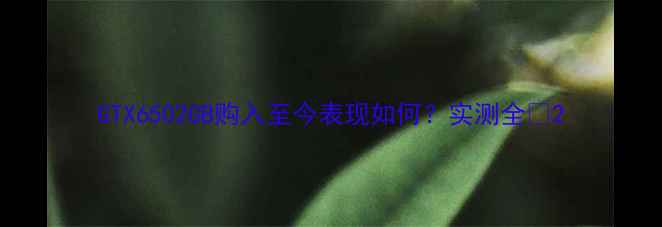 图片 GTX6502GB购入至今表现如何？实测全✅2