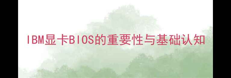 图片 IBM显卡BIOS的重要性与基础认知