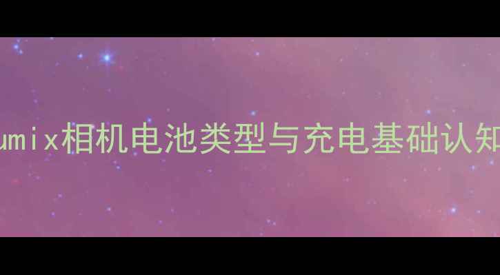 图片 Lumix相机电池类型与充电基础认知1