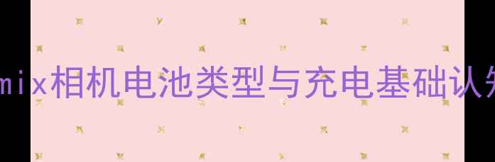图片 Lumix相机电池类型与充电基础认知2