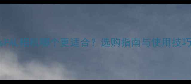 图片 NTSCvsPAL相机哪个更适合？选购指南与使用技巧详解2