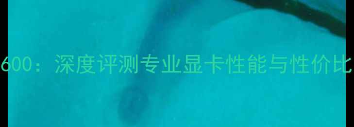 图片 RTX4060TivsP600：深度评测专业显卡性能与性价比哪个更胜一筹