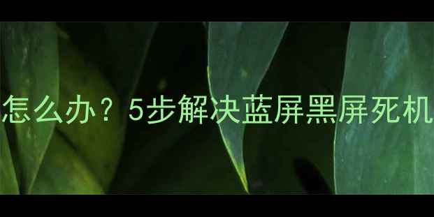 图片 Surface电脑无法开机怎么办？5步解决蓝屏黑屏死机问题（附图文教程）1
