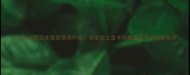 图片 Surface笔记本是否值得升级？深度独立显卡与集成显卡的性能差异