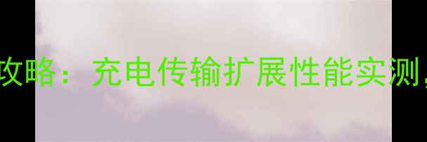 图片 Type-C接口手机全攻略：充电传输扩展性能实测，附选购避坑指南1