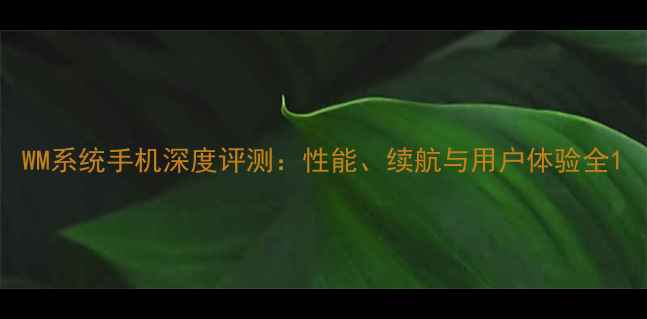 WM系统手机深度评测性能续航与用户体验全