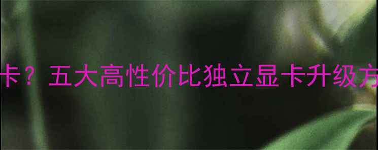 图片 Y460无集成显卡？五大高性价比独立显卡升级方案及性能实测