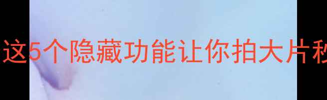 图片 iOS自带时间戳相机？这5个隐藏功能让你拍大片秒变专业摄影师！📸⏰