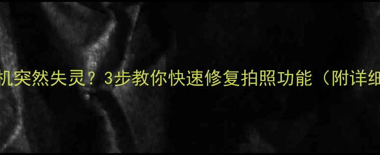 图片 iPad相机突然失灵？3步教你快速修复拍照功能（附详细教程）