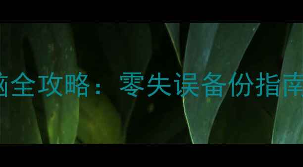 图片 iPhone6s照片导入电脑全攻略：零失误备份指南（附常见问题解答）1