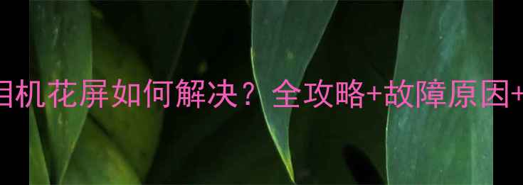 图片 iPhone6s相机花屏如何解决？全攻略+故障原因+维修指南2