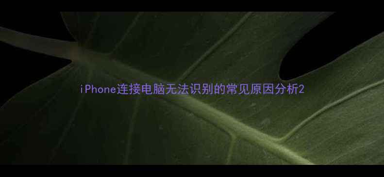图片 iPhone连接电脑无法识别的常见原因分析2