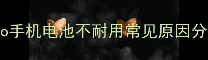 图片 vivo手机电池不耐用常见原因分析2