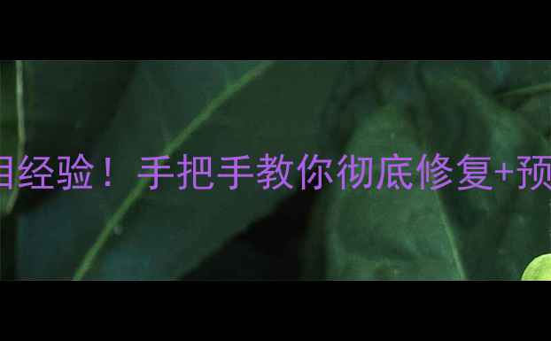 笔记本电脑烧屏血泪经验手把手教你彻底修复预防指南最新避坑攻略