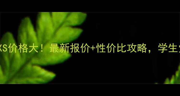 iPhoneXS价格大最新报价性价比攻略学生党必看