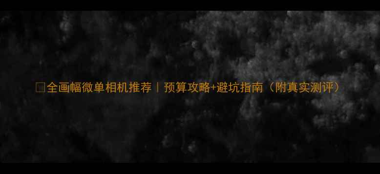 图片 ✨全画幅微单相机推荐｜预算攻略+避坑指南（附真实测评）