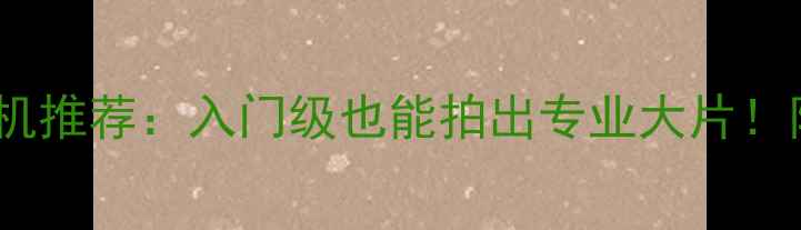 图片 ✨家庭用数码相机推荐：入门级也能拍出专业大片！附选购全攻略🔥1
