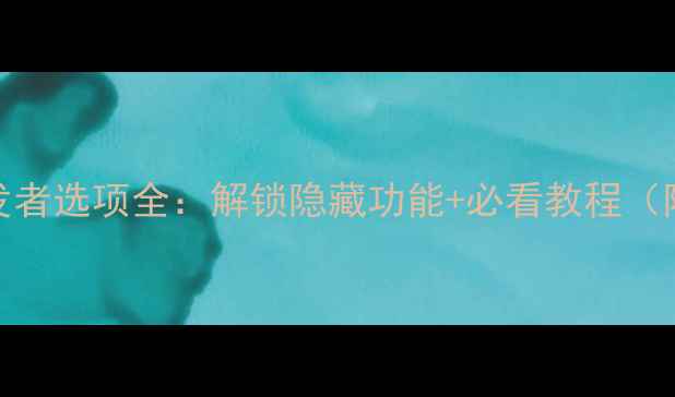 图片 ✨小米手机开发者选项全：解锁隐藏功能+必看教程（附图文步骤）✨