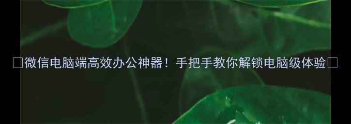 图片 ✨微信电脑端高效办公神器！手把手教你解锁电脑级体验💻