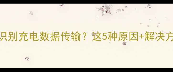 图片 ✨手机无法识别充电数据传输？这5种原因+解决方案全！💻📱