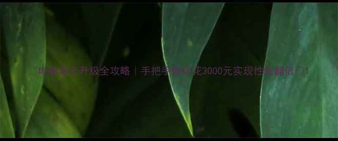 图片 ✨电脑显卡升级全攻略｜手把手教你花3000元实现性能翻倍✨1