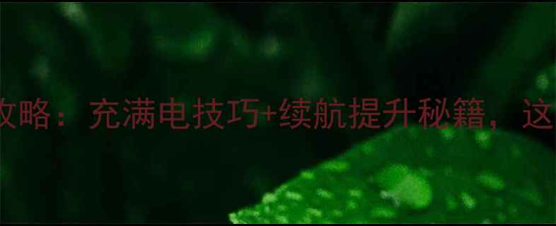 图片 ✨相机电池保养全攻略：充满电技巧+续航提升秘籍，这样充电不伤电池⚡1