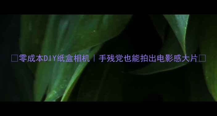 图片 ✨零成本DIY纸盒相机｜手残党也能拍出电影感大片📸
