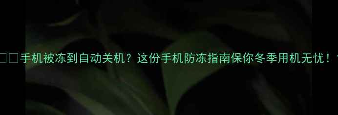图片 ❄️手机被冻到自动关机？这份手机防冻指南保你冬季用机无忧！1