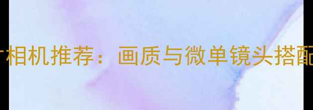 图片 一英寸相机推荐：画质与微单镜头搭配指南1