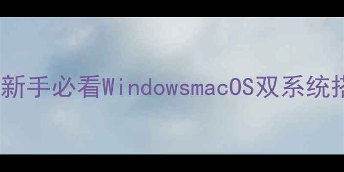 图片 三步搞定电脑VT虚拟机：新手必看WindowsmacOS双系统搭建指南（附配置秘籍）2