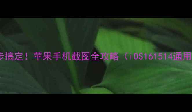 图片 三步搞定！苹果手机截图全攻略（iOS161514通用）2