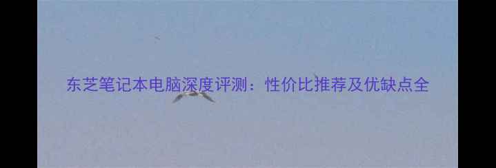 图片 东芝笔记本电脑深度评测：性价比推荐及优缺点全