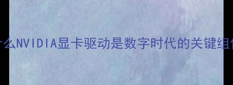 图片 为什么NVIDIA显卡驱动是数字时代的关键组件？